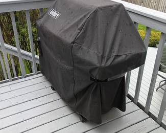 Weber propane grill