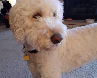 Is this my good side. I need a new headshot 