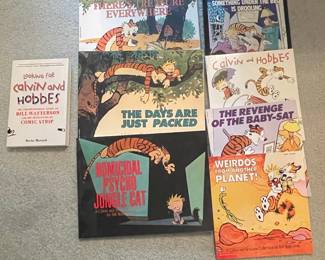 Calvin and Hobbes Books Collection