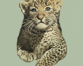 Baby Leopard Cub Print