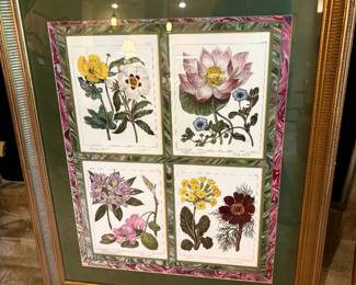 Unique framed botanical