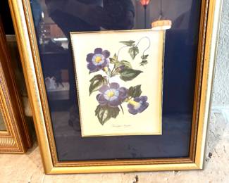 Small blue botanical