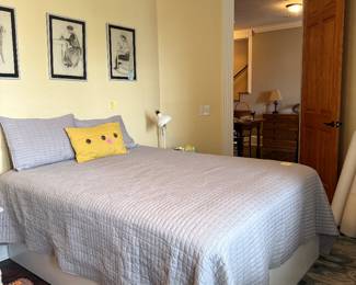 Downstairs bedroom 