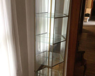 Lot 28: Tall Glass Display Cabinet
