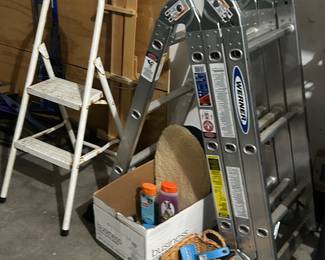 Folding ladder