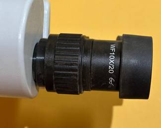 The AmScope's WF10X/20 microscope eyepieces featuring a wide-field view and rubber eye cup