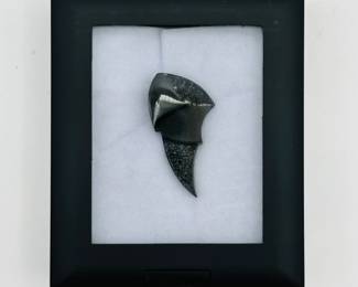 A Darryl Alexander druzy onyx "Nightwing" carving