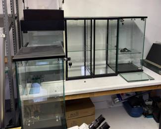 Several locking countertop showcases with keys 