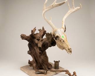 deer skull mount