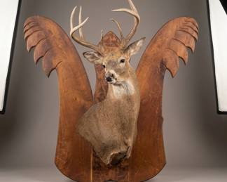 Lot137 WhitetailDeerShotonPropertyonMesquiteCarvedAngelWin