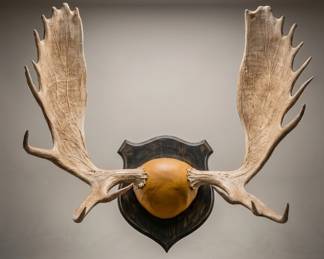 Lot139 MooseRackinStudio