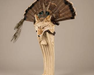 coyote taxidermy mount