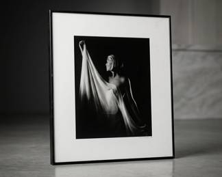 Lot129 DaveHumphreyArtPhotograph
