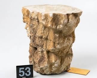 Lot053 FossilizedStoneColumn