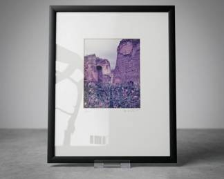 Lot125 FramedColorRuinsPhotograph