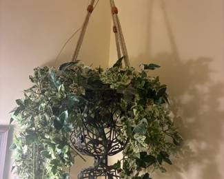 plant