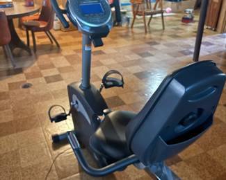 . . . Schwinn exerciser