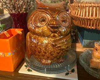 . . . cool old owl!