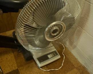 . . . fan