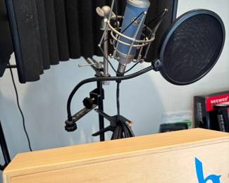 Bluebird Mic with stand & buffer