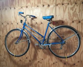 Blue 5-Speed Touring Bicycle