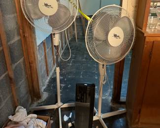 Fans