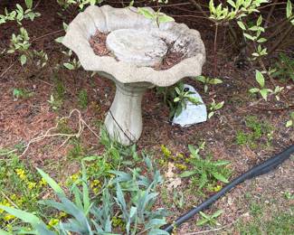 Birdbath