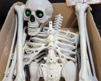 6ft skeleton 