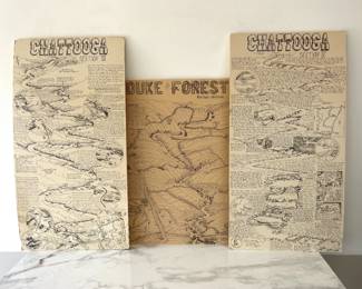 Lot 6416  Vintage William Nealy Chapel Hill NC Maps  Duke Forest Chattooga