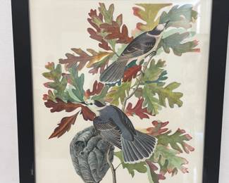 Lot 6270  Audubon Art Print  Canada Jay  Bird