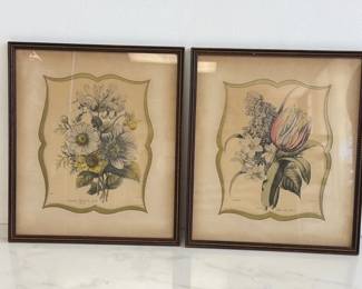 Lot 6215  Vintage Spring Botanical Art Prints