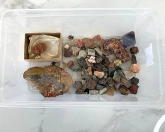 Lot 6328  Natural Curiosities  Coprolite Rocks Crystals