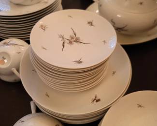 Rosenthal China Set