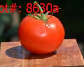 8630a result