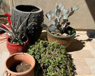 Ceramic Plant Pots