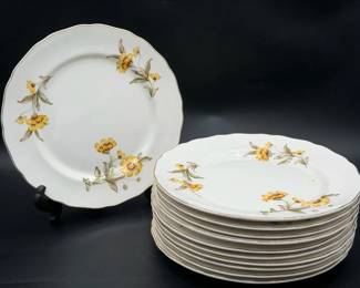 22KT Gold Trim vintage Canonsburg China Autumn Mist