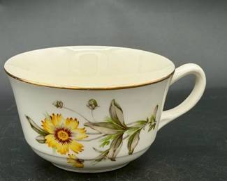 22KT Gold Trim vintage Canonsburg China Autumn Mist
