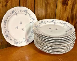 (13) Johann Haviland 10” Plates