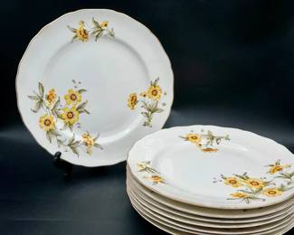 22KT Gold Trim vintage Canonsburg China Autumn Mist