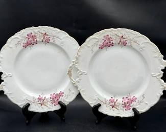(2) Antique Porcelain Plates