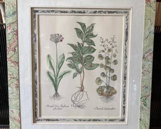 046 20x17framedbotanicalprintwithdoub