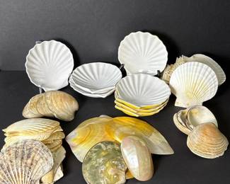 197 seashelllotsevenceramicdishesandm