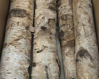 Lot 181: Birch Wood Logs and Pineapple/Leaf Cushions