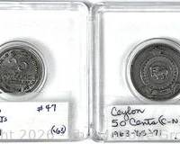 wIMG 2848 t