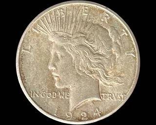wIMG 9842 t