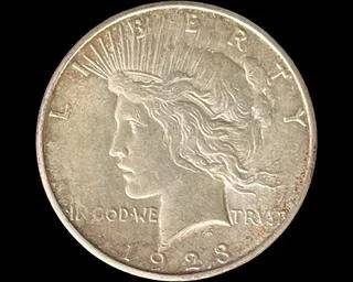 wIMG 9845 t