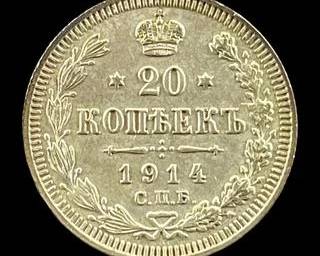 wIMG 3290 t