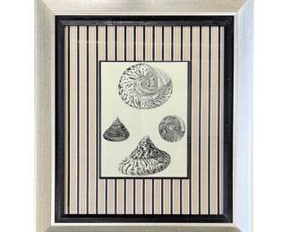 Seashell decorative print