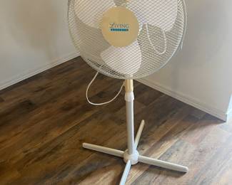 Oscillating fan