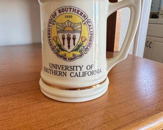 University of Southern California Stein